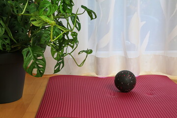 Faszienroller und Massageball auf roter Matte, daneben eine Monstera. Lichtdurchflutete Ecke f&uuml;r Fitness, Entspannung und K&ouml;rperpflege.