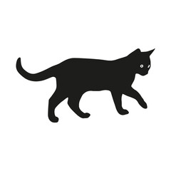 A black cat silhouette walking gracefully against a Transparent background scene