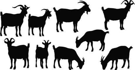 Fototapeta premium Goat silhouette vector collection, various domestic farm and wild animal poses including standing and grazing, different ages and large horned bucks, simple livestock graphics.