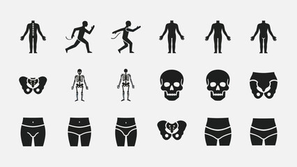 Human body anatomy illustrations silhouettes of figures skeletons and skulls