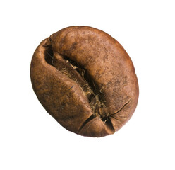 Macro close up coffee bean showing front and back sides, realistic surface texture, roasted seed isolated for food and drink concept.