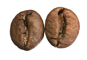 Detailed close up of single coffee bean front and back, roasted brown seed with visible texture, isolated macro image.