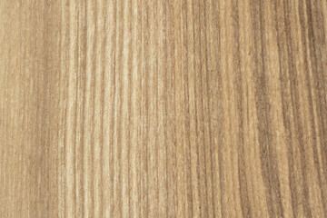 Light brown natural wood texture with vertical grain lines and soft organic surface pattern.