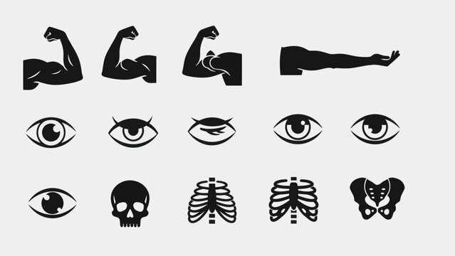 Human body parts silhouettes arms eyes skull ribcage and pelvis