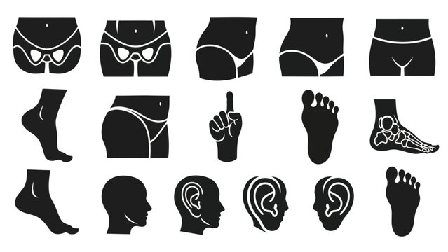 Human body silhouettes anatomical illustrations in black and white