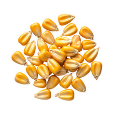 Fototapeta premium Dry Yellow Corn Kernels Piled White Top View Isolated on transparent background, png