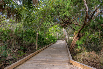 St. Simons Island along the Atlantic Coast of Georgia, United States