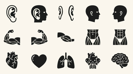 Human body organs and parts illustrated in simple black silhouettes