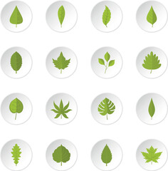 Plant leafs icons set in flat style