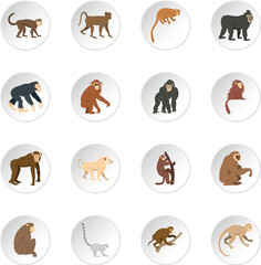 Monkey types icons set in flat style