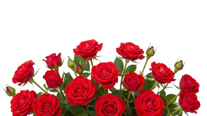 Roses Bouquet PNG on Transparent Background for Valentine's
