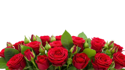 Red Roses Bouquet Arrangement on a Transparent Background PNG File