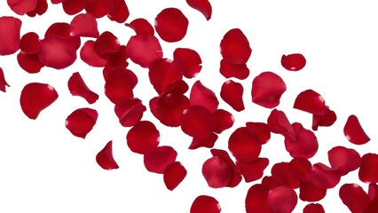 Floating Red Rose Petals on a Transparent PNG Image