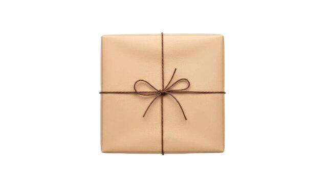 Wrapped Gift Box with String Bow on Transparent Background PNG