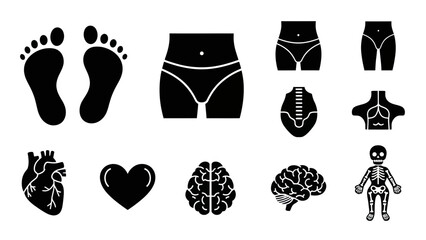 Human body parts silhouettes vector illustrations for medical educational concepts
