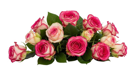 Fototapeta premium Bunch of Pink Roses on a Transparent Background PNG Image