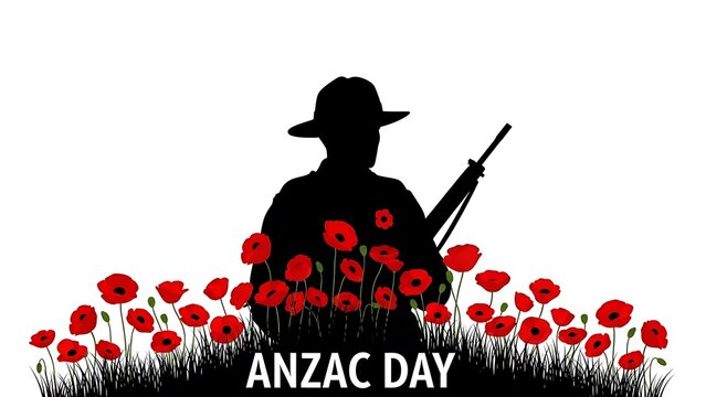 Anzac day remembrance: soldier silhouette in a field of red poppies honoring fallen heroes