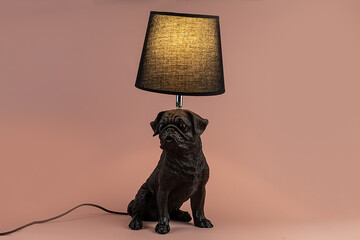 Light lamp growing in the room