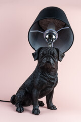 Light lamp growing in the room