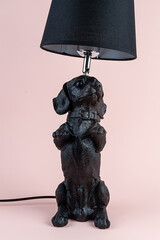 Light lamp growing in the room