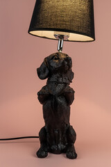 Light lamp growing in the room