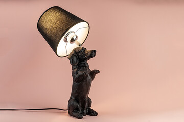 Light lamp growing in the room