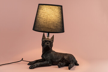 Light lamp growing in the room