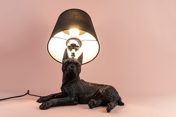 Light lamp growing in the room