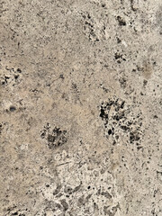 Travertine stone surface showing natural porous rock texture