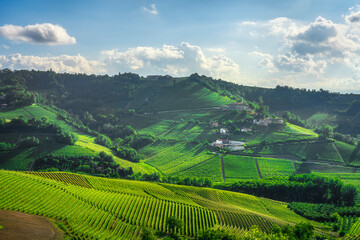 Obraz premium Langhe Vineyards Panorama near Serralunga d'Alba, Piedmont