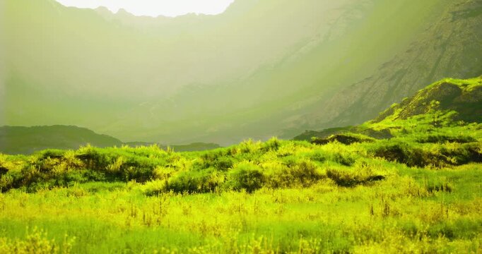 A serene valley showcases vibrant green grass under bright sunlight filtering through majestic mountain peaks. The tranquil atmosphere invites peaceful reflection in nature.