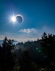 Total solar eclipse over forest