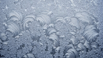 Swirling frozen plumes creating feather-like abstract texture on icy glass pane in cold blue winter tones