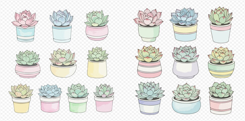 Collection of cute pastel succulent plants in colorful pots, perfect for decorative designs and illustrations.