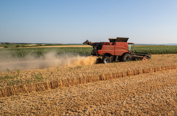 Combine harvester in field wheat