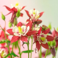 Vibrant flowers in soft focus
