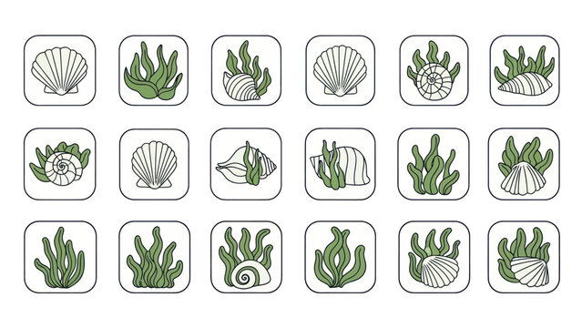 Ocean themed icon set seashells and seaweed elements on white backgrounds