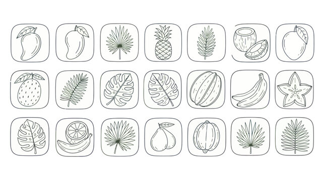 Line art tropical fruits and leaves in square frames vector illustration
