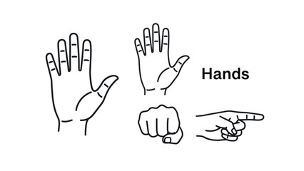 Fototapeta premium Outlined hand gestures illustrations demonstrating various actions