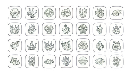 Set of various seashells and seaweed icons in square frames for design © jakoni