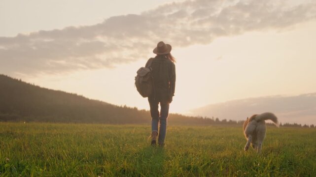 Explorer advances through morning landscape, White traveler and dog venture across fields at sunrise