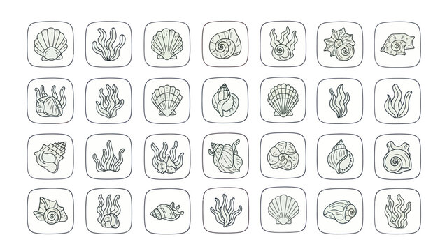 Set of various seashells and seaweed icons in square frames for design
