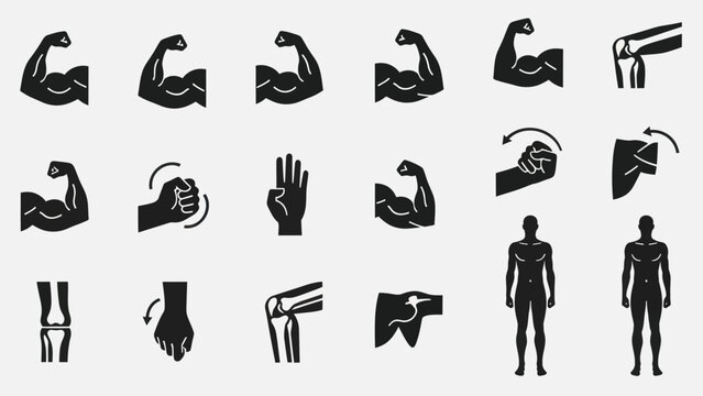 Muscular human body and joint icons fitness health and bodybuilding