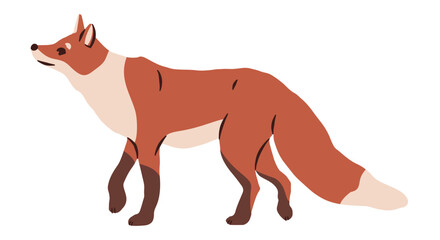 Woodland wild fox. Forest realistic animal wildlife nature isolated character zoo woodland inhabitant, cartoon nest vector illustration
