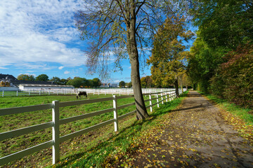 Fototapeta premium Wide view of a professional horse riding facility featuring a large white stable building equipped