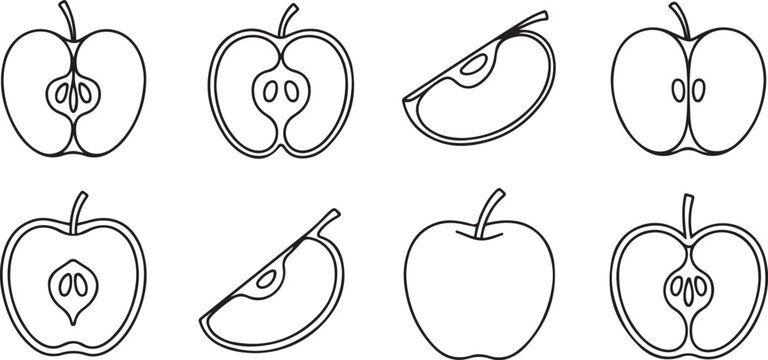 Line apple set. Sketch sliced apples collection. Hand-drawn slices, whole and half linear fruits. one line Art icon drawing