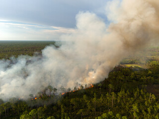 Safe prescribed fire in rural Florida landscape, reducing wildfire risk through controlled vegetation burning
