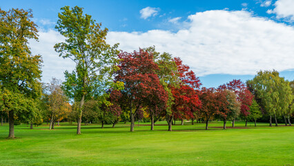 Scenic autumn view of a well-maintained public park or golf course. Colorful fall foliage of maple and oak trees against a lush green meadow on a sunny day