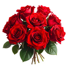 Bouquet of red roses isolated on transparent background