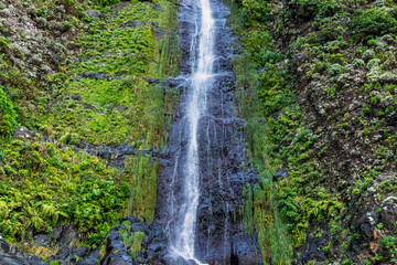 A narrow waterfall cascading down a steep, rocky cliff covered in lush green vegetation, moss, and ferns, creating a fresh and vibrant natural scene